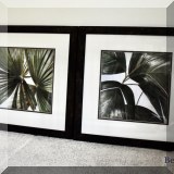 A16. Framed palm leaf prints. 